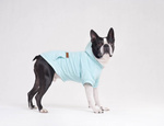 amiplay Bluza z kapturem dla Psa Texas 25cm Chihuahua Żółty