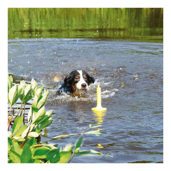 Trixie Zabawka dla Psa MOT-Aqua pływająca 29cm