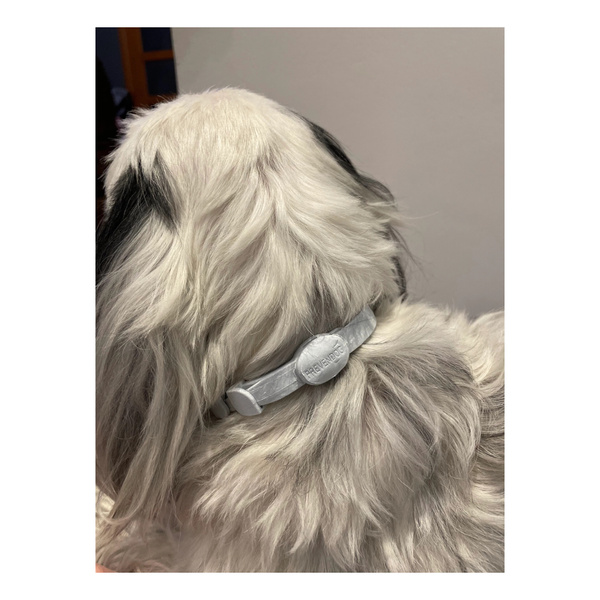FRANCODEX PL Obroża na kleszcze PREVENDOG 35 cm dla psów do 5 kg - 1 szt