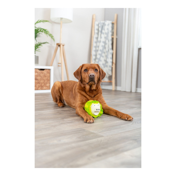 Trixie Świnka kapusta, zabawka, dla psa, jasnozielona, latex, 23 cm, z dźwiękiem