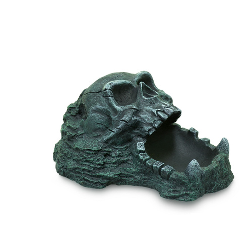 Terra Natura Dekoracja terrarystyczna miska z czaszką 20cm