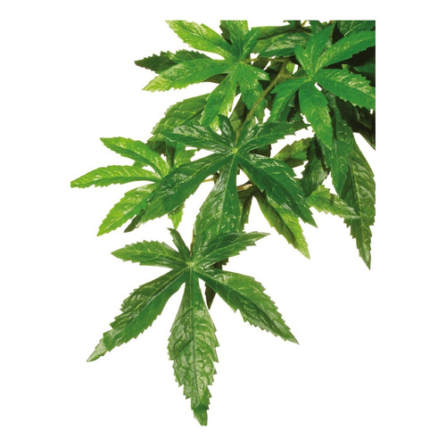 Eao Terra Roślina sztuczna - Silk Abuliton S