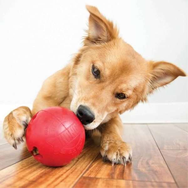 KONG Zabawka dla psa BB1 Biscuit Ball L