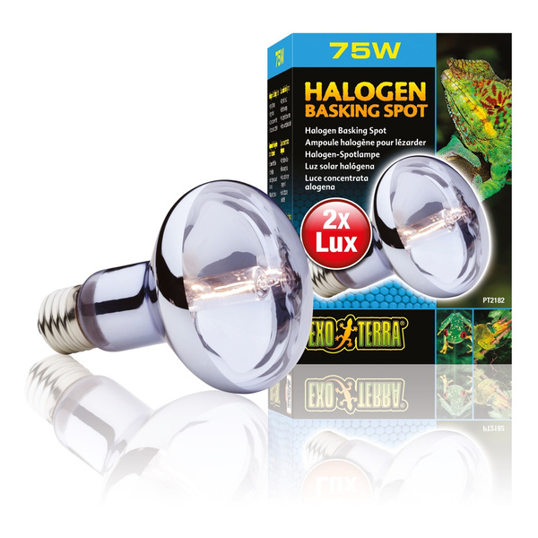 Eao Terra Żarówka Halogenowa SUN GLO 75W