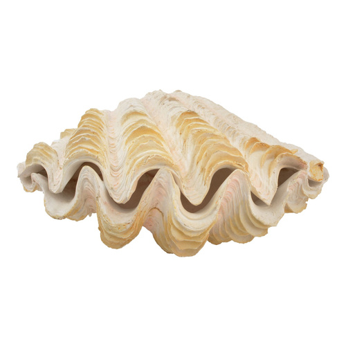 Aqua Natura Dekoracja akwarystyczna muszla perłowa duża 18cm