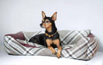 amiplay Legowisko Sofa dla Psa ZipClean 4in1 Kent L Czarny