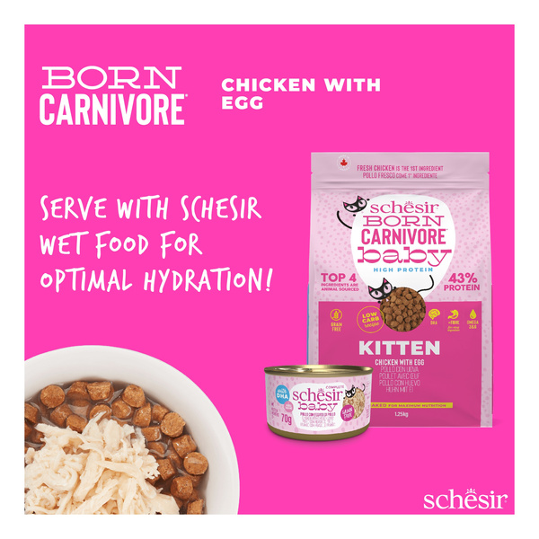 Schesir Born Carnivore karma sucha dla kociąt kurczak z jajkiem 255 g