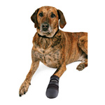 Trixie BUTY dla psa WODOODPORNE Walker XXXL 2szt