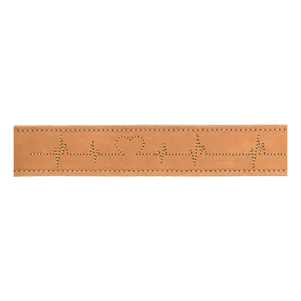 Trixie Rustic Heartbeat, obroża, dla psa, brązowa, z grubej skóry, S-M: 34-40 cm/30 mm