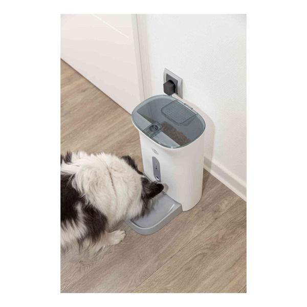 Trixie karmidło automatyczne TX8 2,0 Smart 4,5 L Pro aplikacja kamera