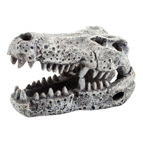 Aqua Natura Dekoracja akwarystyczna Czaszka krokodyla 6cm