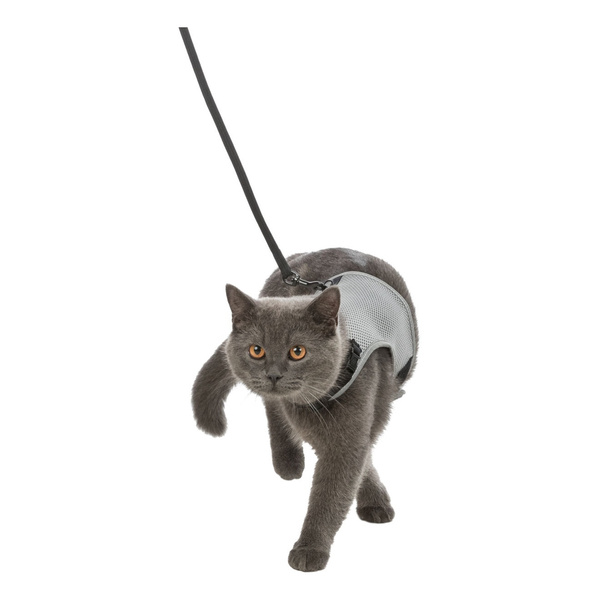 Trixie SZELKI DLA KOTA 'X-Cat' 24-42cm 1,2m