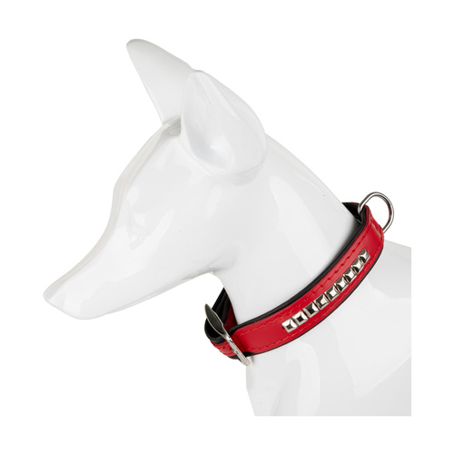 Barry King obroża dla psa, wzór kostki, 16mm/35cm czerwona