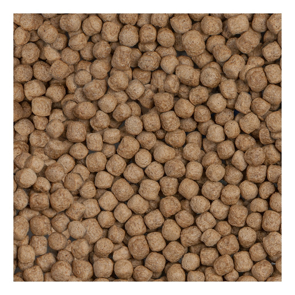 Sera Koi Royal Large 10 l granulat - pokarm postawowy dla Koi