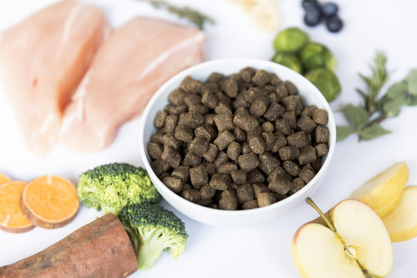 YDOLO Chicken - kurczak i ryby - półwilgotna karma dla psa (100g)