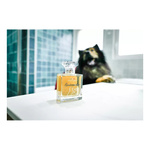 FRANCODEX Perfumy dla psa, bez alkoholu Gourmandise waniliowe 50 ml