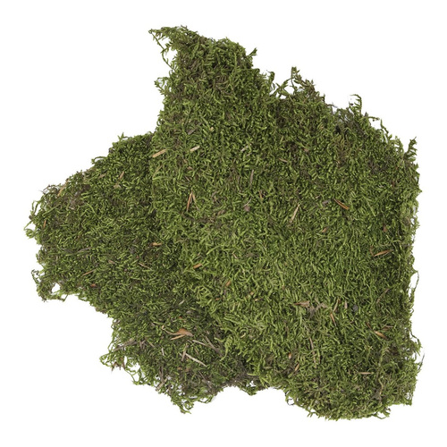 Podłoże do terrarium mech 100g (kraj pochodzenia Turcja)