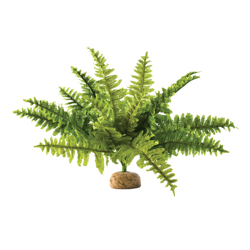 Eao Terra Roślina sztuczna - Paproć Boston Fern M