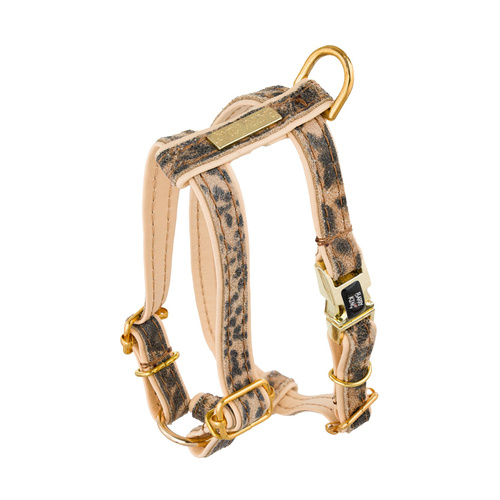 Barry King Szelki dla psa, Wild Cheetah, beżowe, skórzane mosiądz, S 13mm/ob. szyi 25-40cm ob. klatki 35-50cm