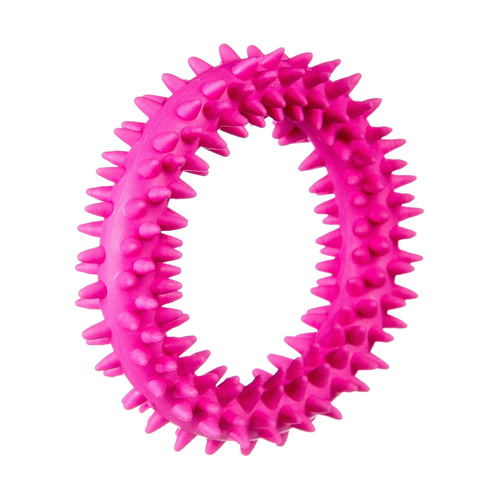 Barry King mały ring XS dla szczeniąt różowy, 9.5 cm