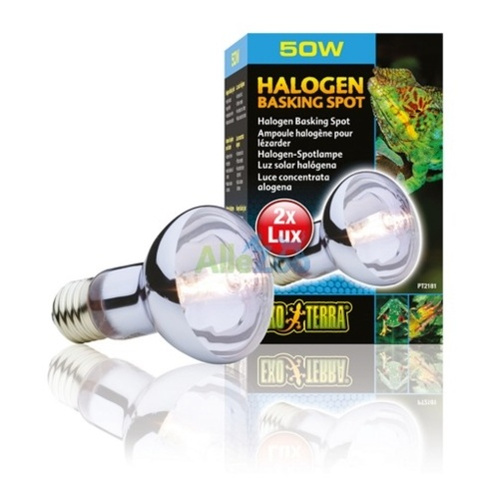 Eao Terra Żarówka Halogenowa SUN GLO 50W