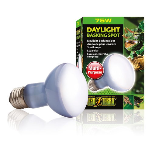 Eao Terra Żarówka Daylight Basking Spot R20/75W