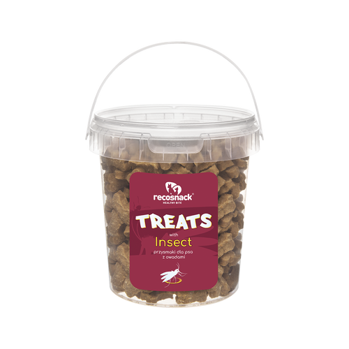 Insect Przysmaki z owadami dla psa 500g
