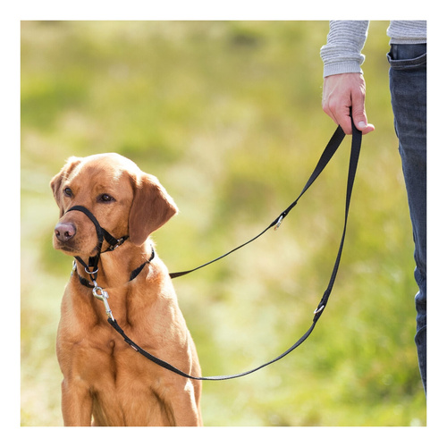 Trixie UPRZĄŻ Top Trainer SZKOLENIOWA L-XL 48-60cm