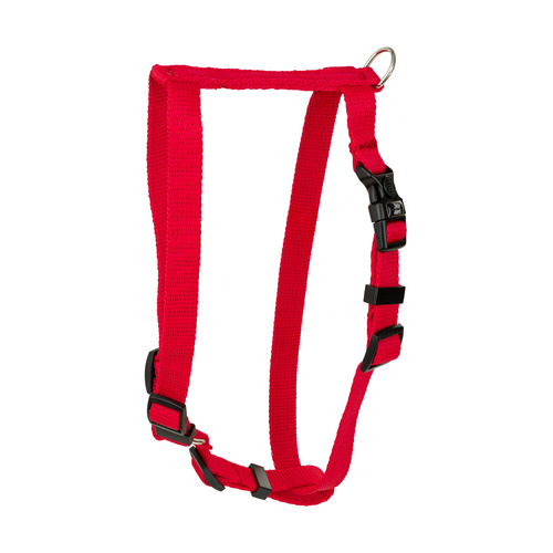 Barry King Classic szelki dla psa, czerwona , S-M, 16mm/40-65cm