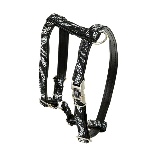 Barry King Szelki dla psa, Equilibre, Czarna Zebra, skórzane nikiel, S 13mm/ob. szyi 25-40cm ob. klatki 35-50cm