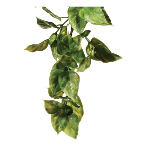 Eao Terra Roślina sztuczna - Amapallo S