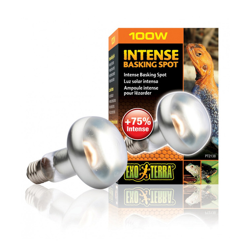 Eao Terra Żarówka Intense Basking Spot 100W 80mm