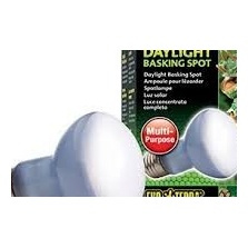 Eao Terra Żarówka Daylight Basking Spot R20/50W