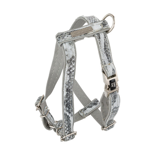 Barry King Szelki dla psa, Wild Snake, szare, skórzane nikiel, S 13mm/ob. szyi 25-40cm ob. klatki 35-50cm