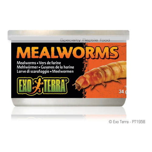 Eao Terra Pokarm w puszce - mączniki 34g