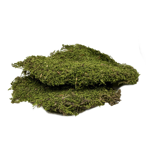Podłoże do terrarium mech 50g (kraj pochodzenia Turcja)