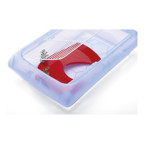 IMAC Ninfea mini terrarium dla żółwi jasnoniebieskie 455x31x138 cm