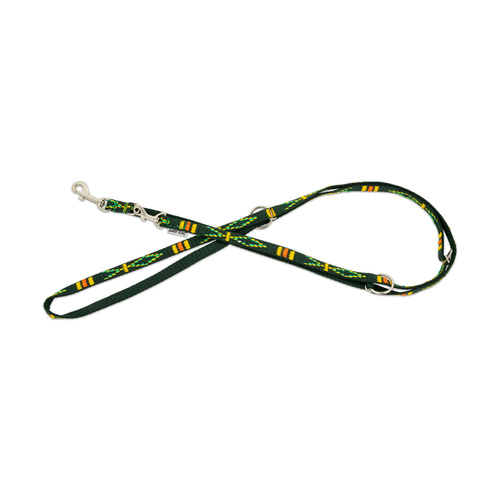 Barry King Smycz regulowana dla psa, zielona, wzór etniczny, taśma polipropylenowa, 16mm/220cm