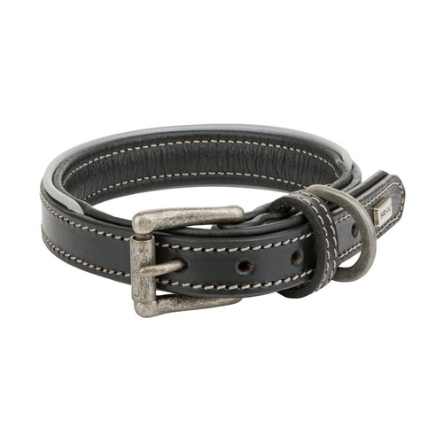 Barry King Obroża skórzana, S: 33-40 cm/20 mm, czarny