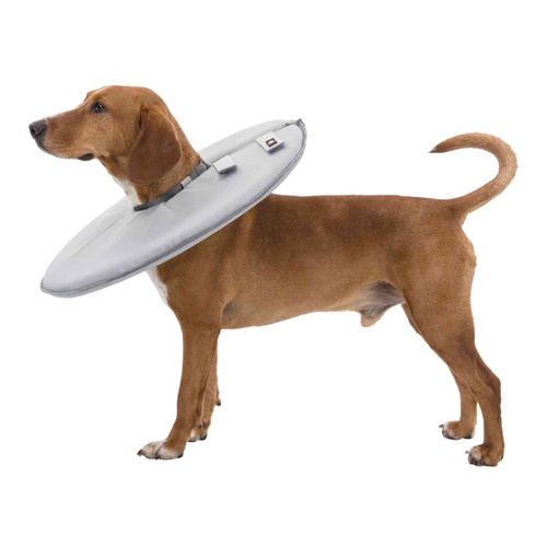 Trixie Kołnierz ochronny, L:46-49cm/24cm, szary