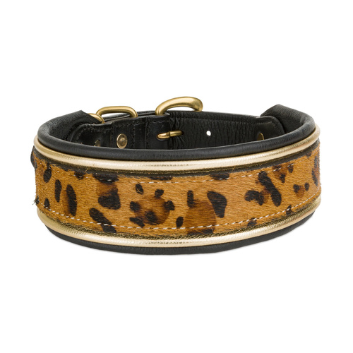 Barry King Obroża skórzana, 42-49 cm/42 mm, pantera