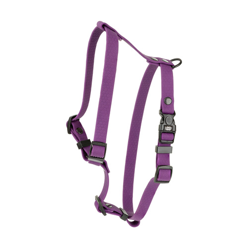 Barry King Szelki dla psa z wytrzymałej gumy, fioletowe, 16mm/30-60cm