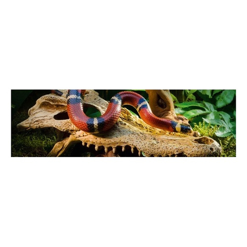 Eao Terra Kryjówka Czaszka krokodyla