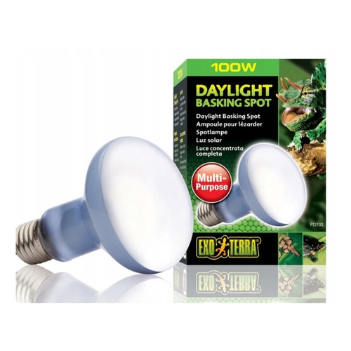 Eao Terra Żarówka Daylight Basking Spot R25/100W