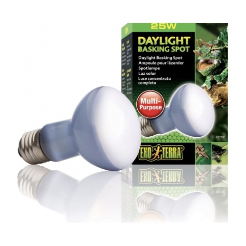 Eao Terra Żarówka Daylight Basking Spot 25W
