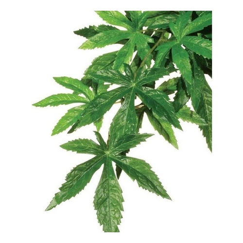 Eao Terra Roślina sztuczna - Silk Abuliton L