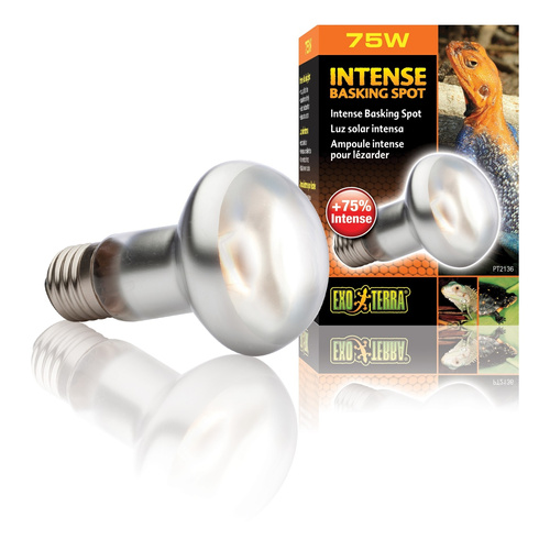 Eao Terra Żarówka Intense Basking Spot 75W63mm