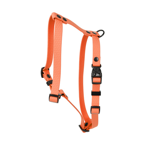 Barry King Szelki dla psa z wytrzymałej gumy, pomarańczowe, 16mm/30-60cm