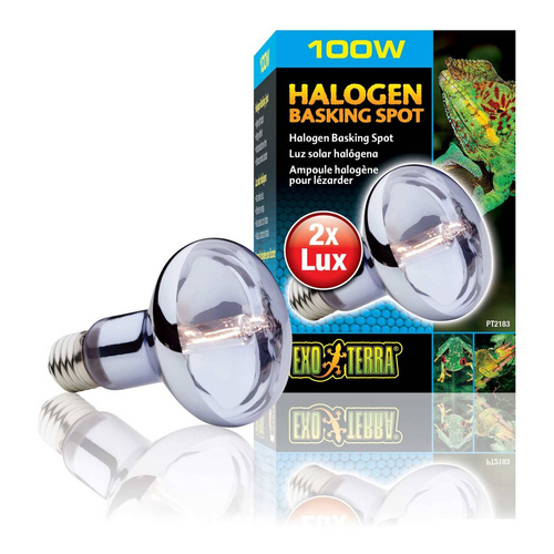 Eao Terra Żarówka Halogenowa SUN GLO 100W