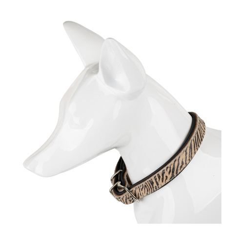 Barry King obroża dla psa, tiger, 16mm /41cm